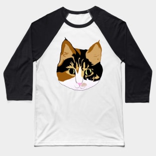 Calico kitten Baseball T-Shirt